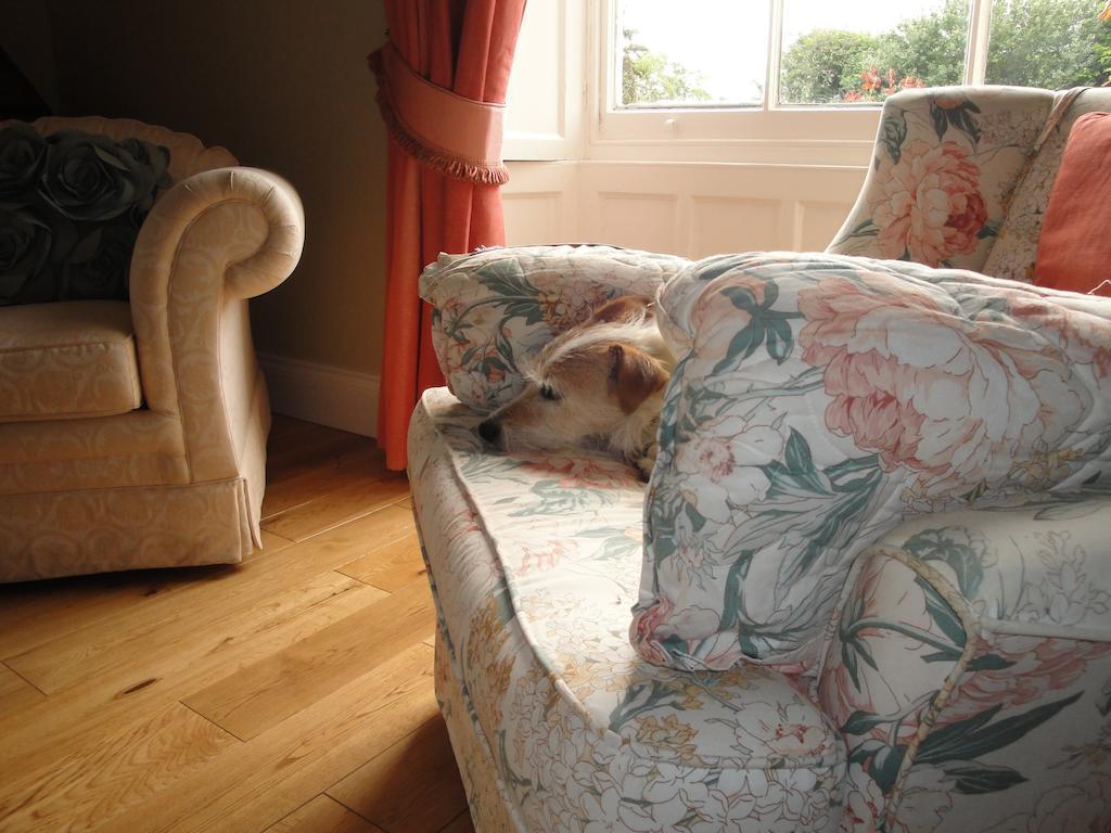 Bed and Breakfast Cary Fitzpaine House Babcary Exterior foto